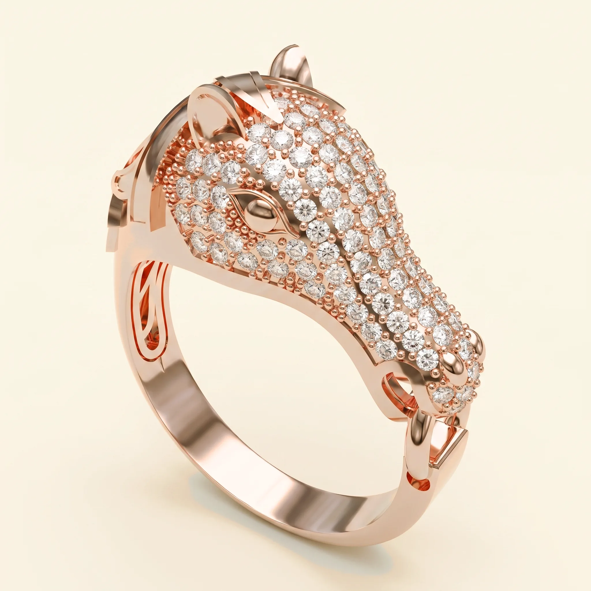Horse Ring — View 2