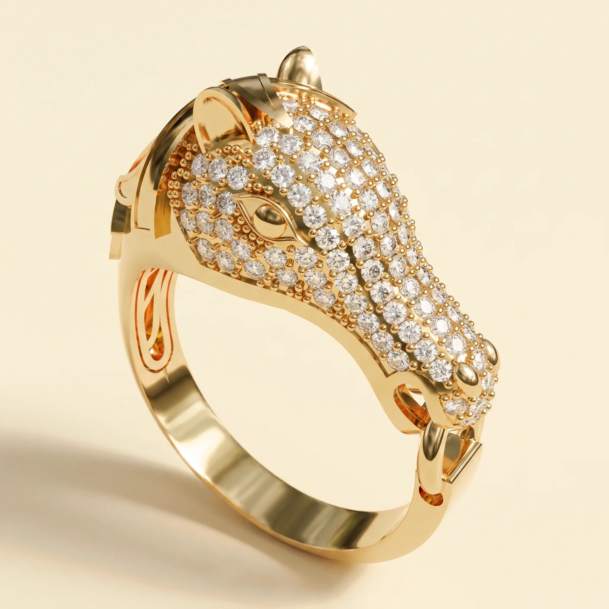 Horse Ring — View 1