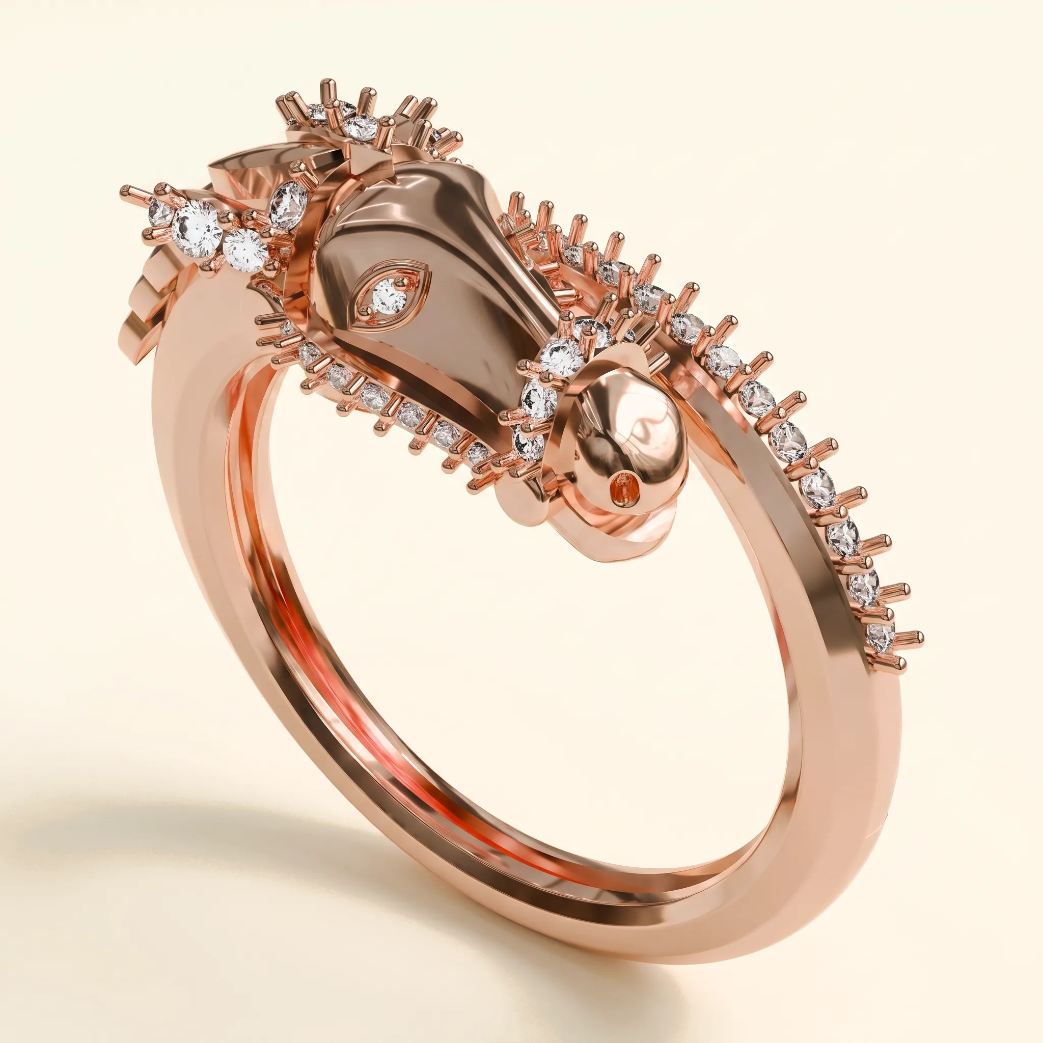 Horse Ring — View 2