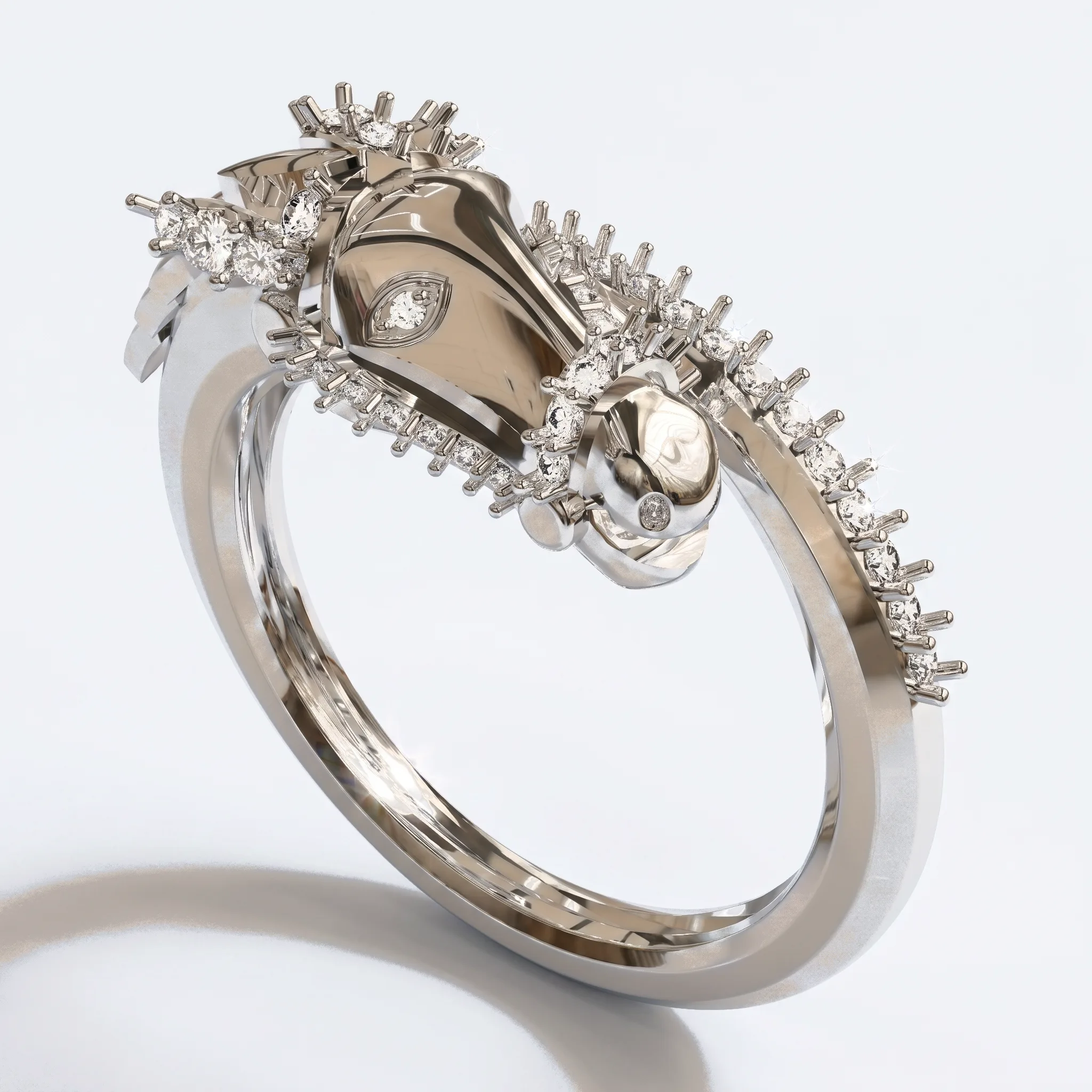 Horse Ring — View 3