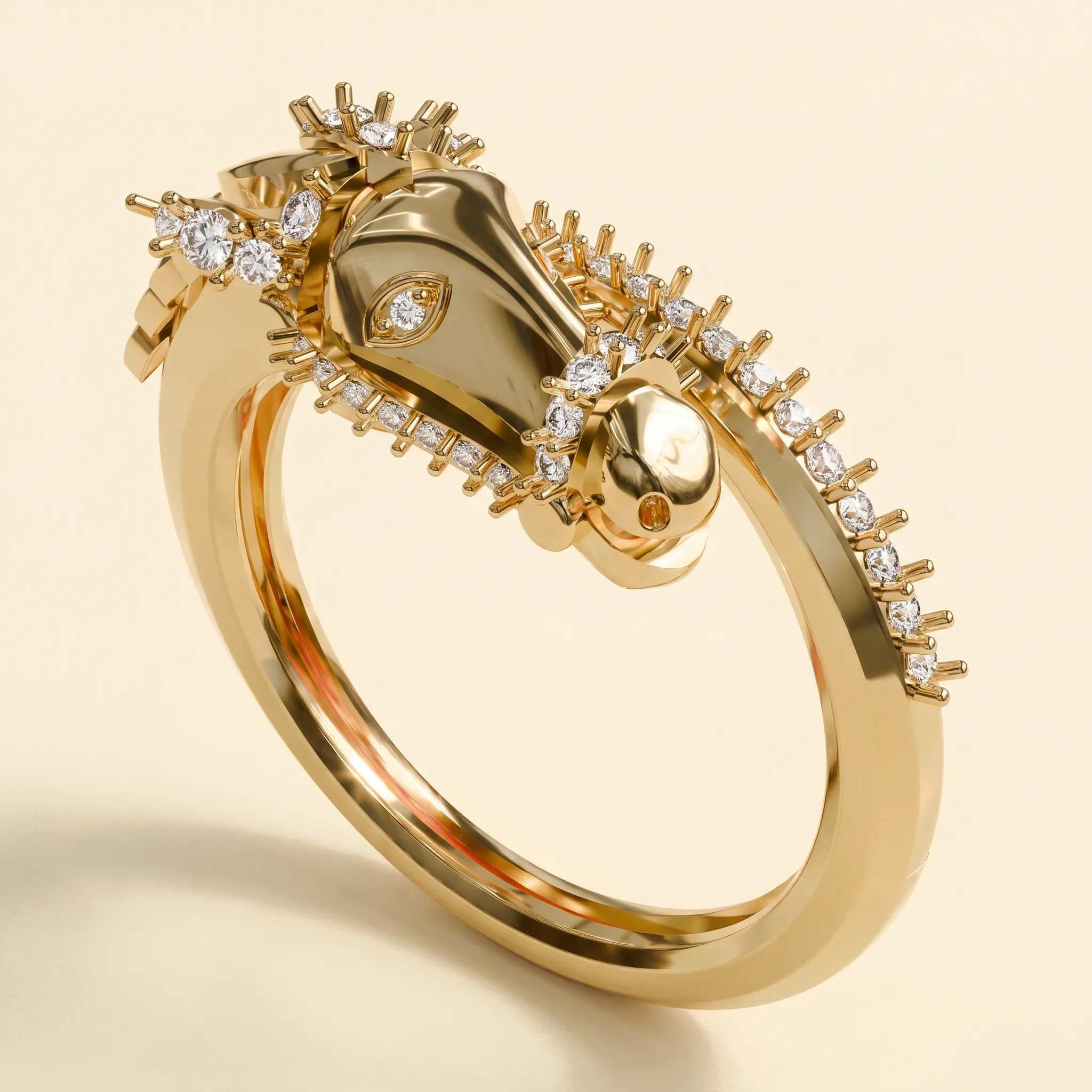 Horse Ring — View 1