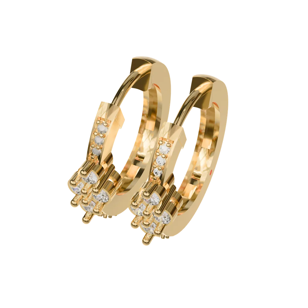 Hoop Earrings