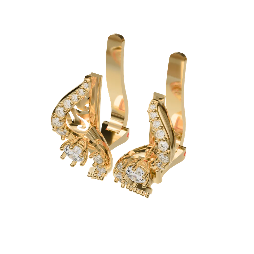 Hoop Earrings