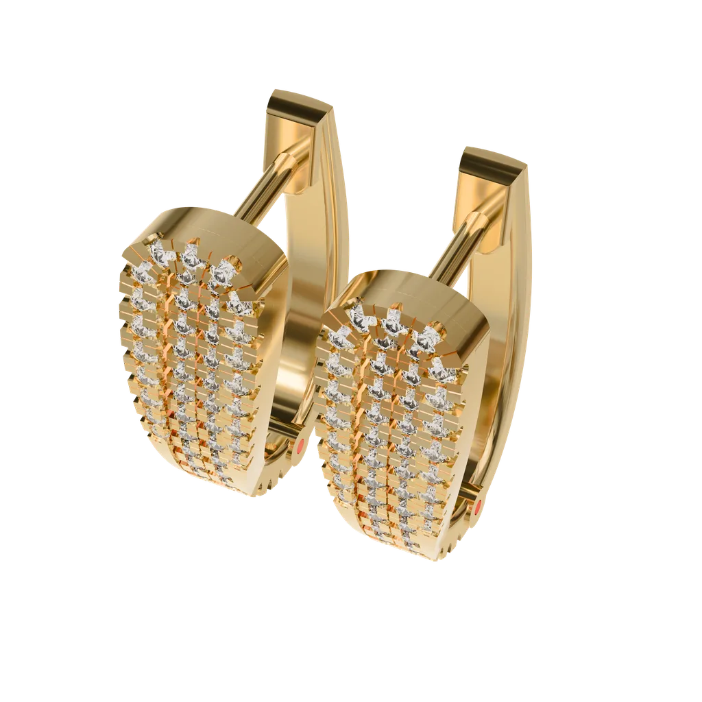 Hoop Earrings
