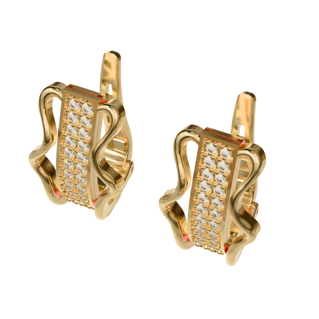 Hoop Earrings