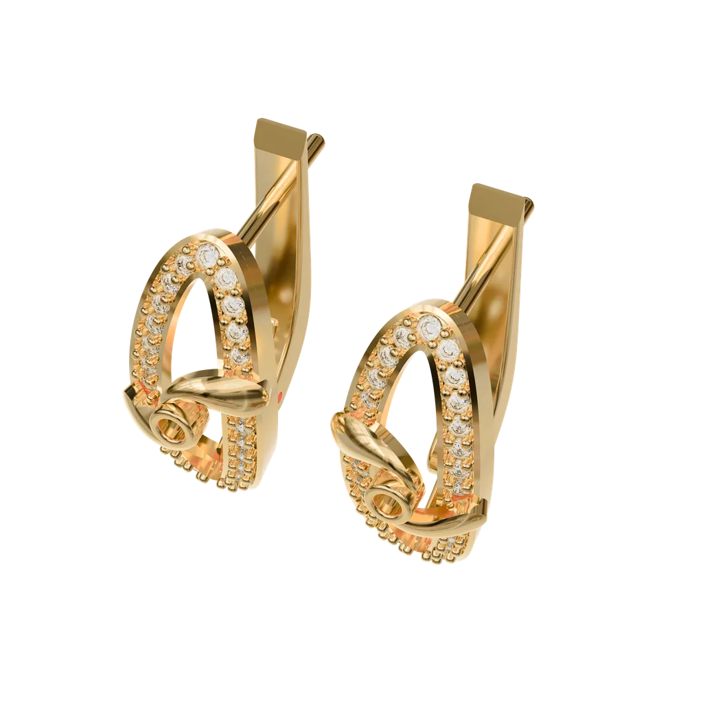 Hoop Earrings