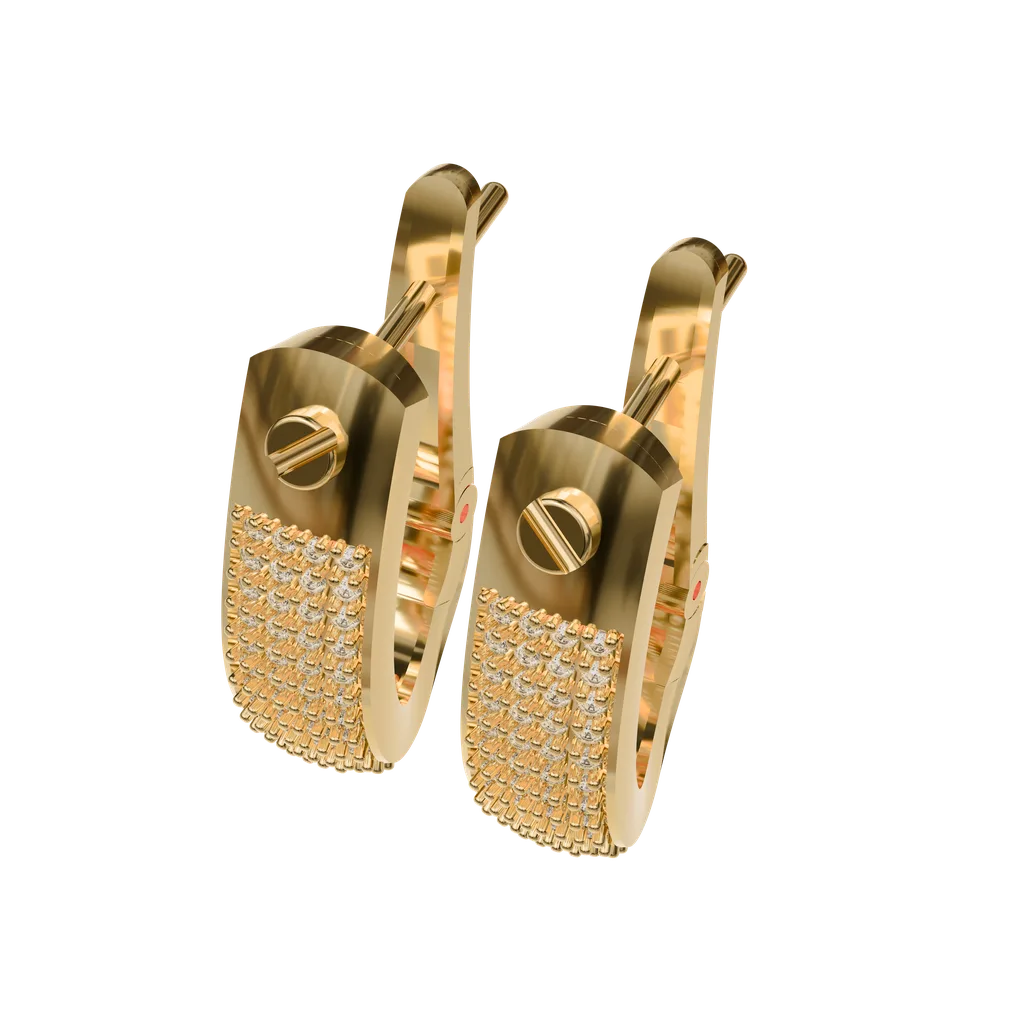 Hoop Earrings