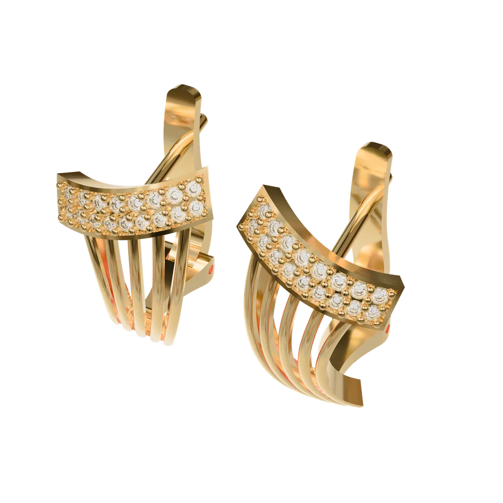Hoop Earrings