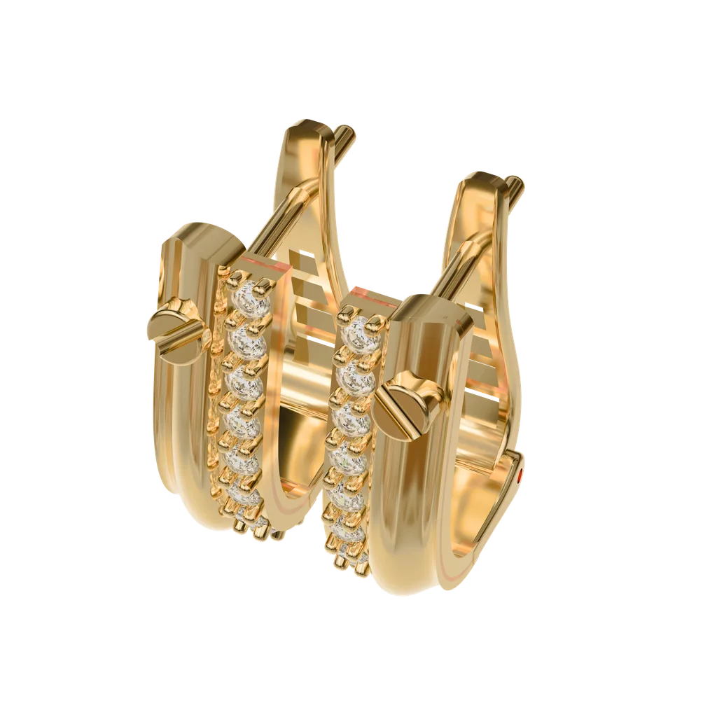 Hoop Earrings