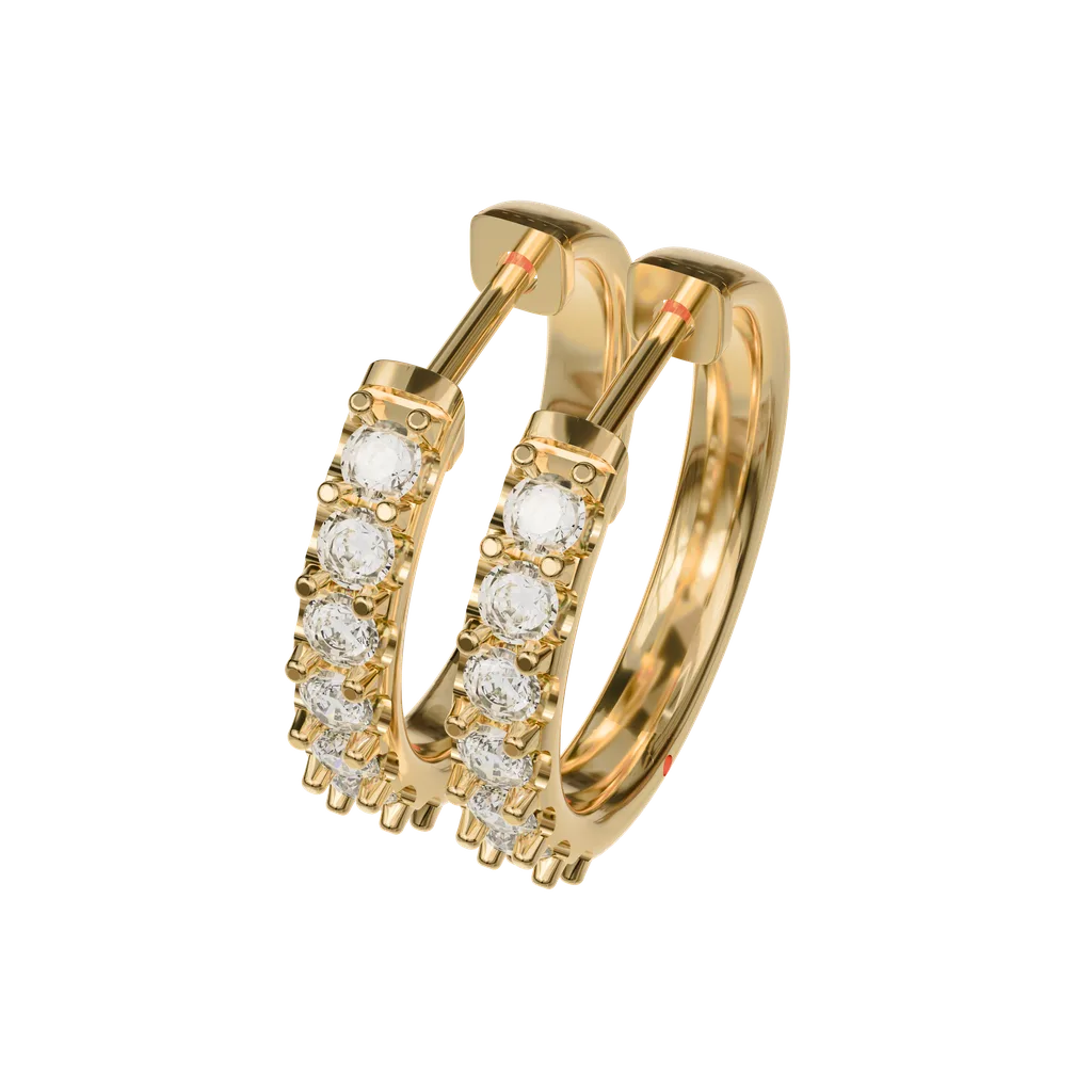 Hoop Earrings
