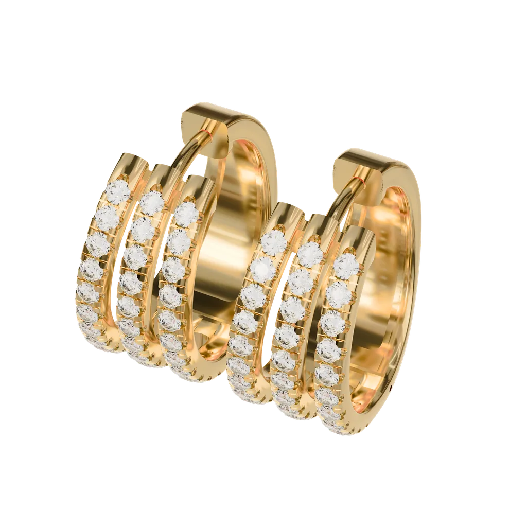 Hoop Earrings