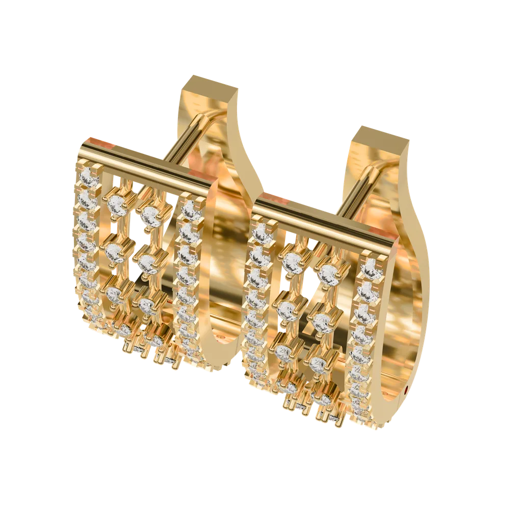 Hoop Earrings