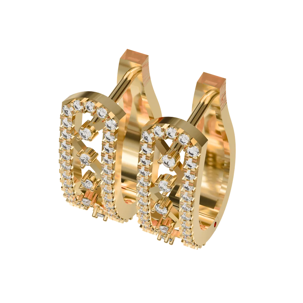 Hoop Earrings