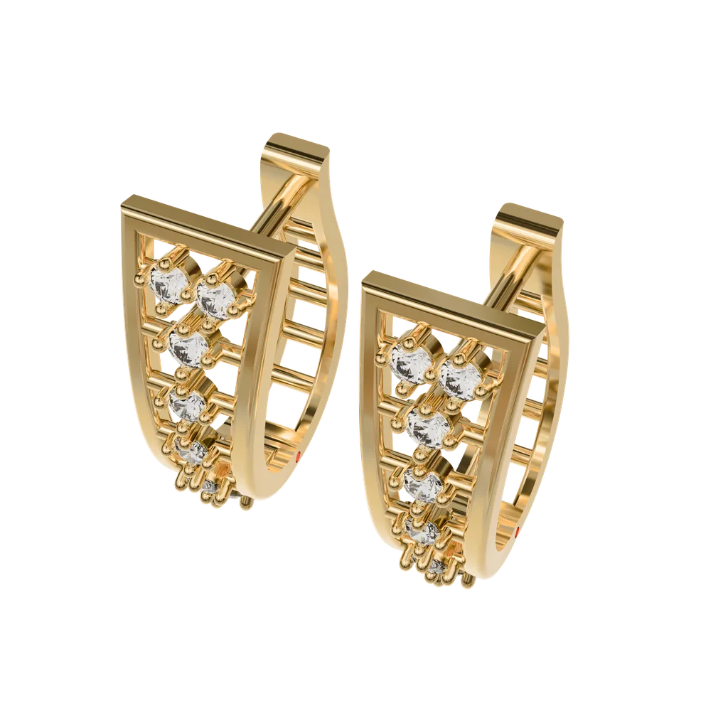 Hoop Earrings
