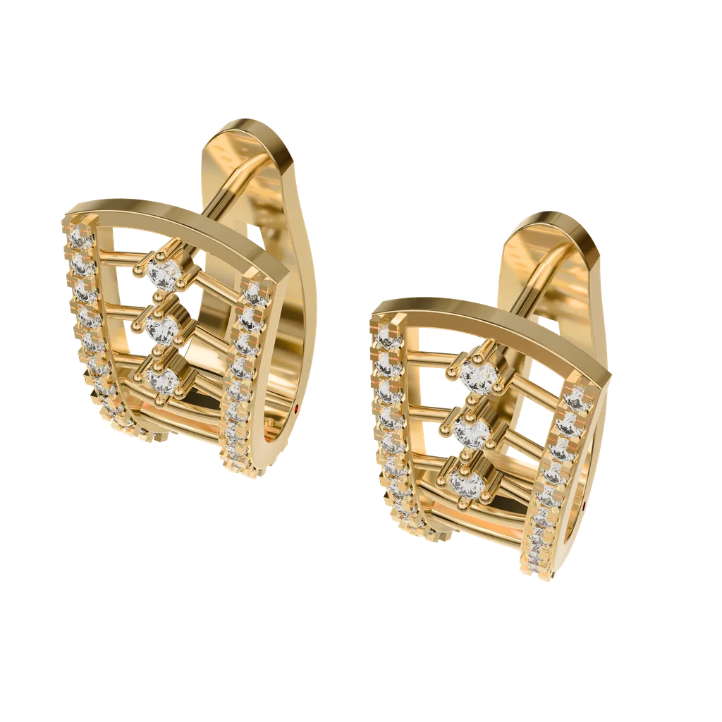 Hoop Earrings