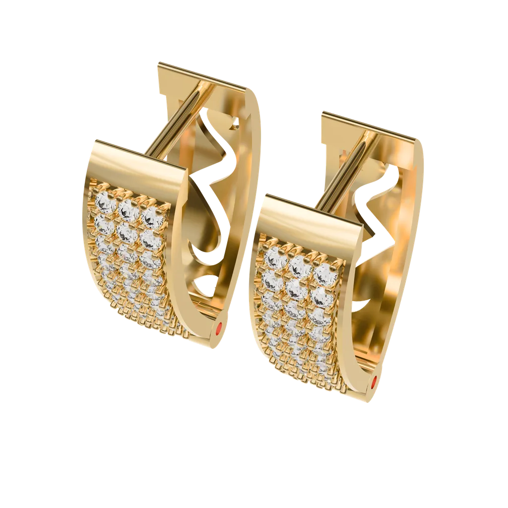 Hoop Earrings