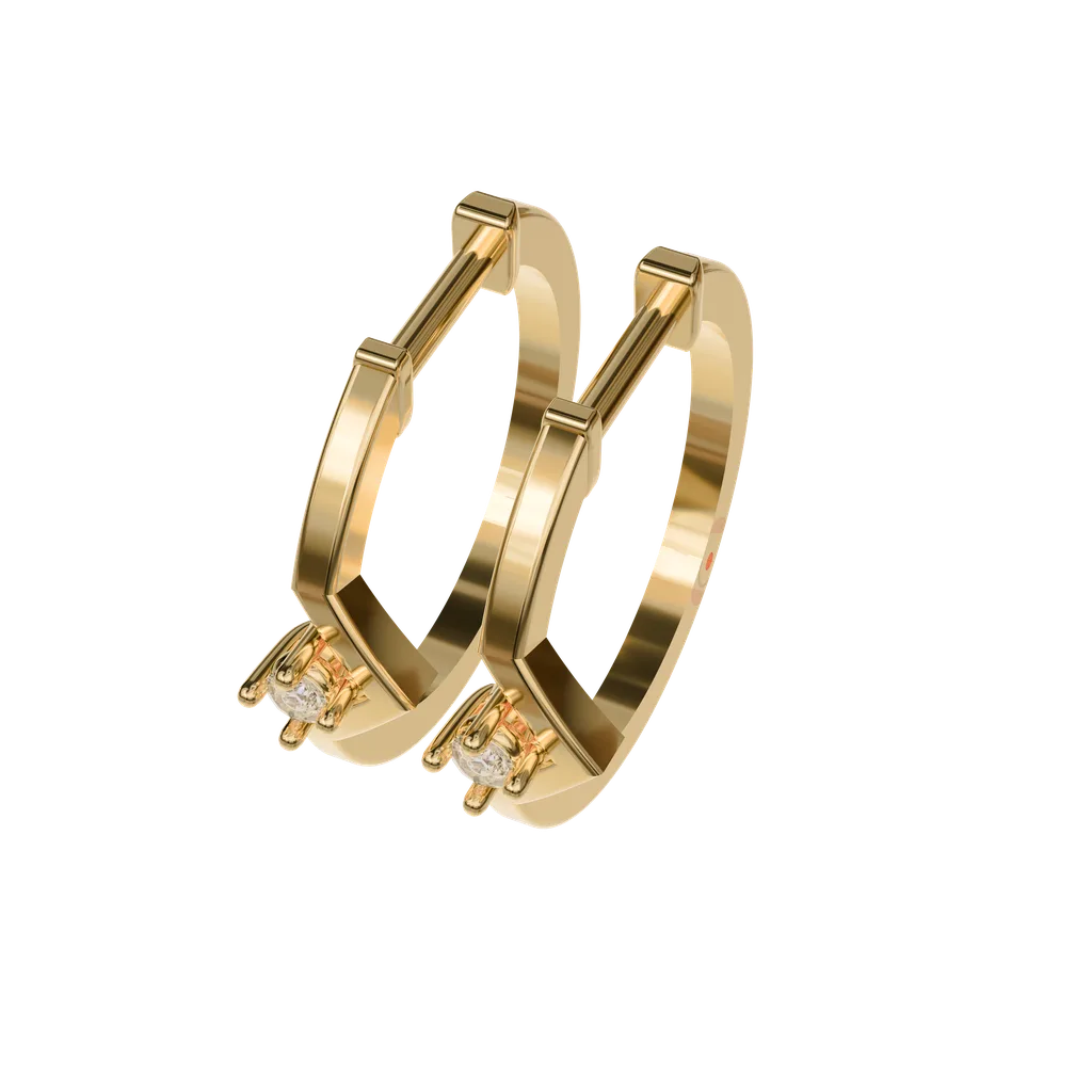 Hoop Earrings