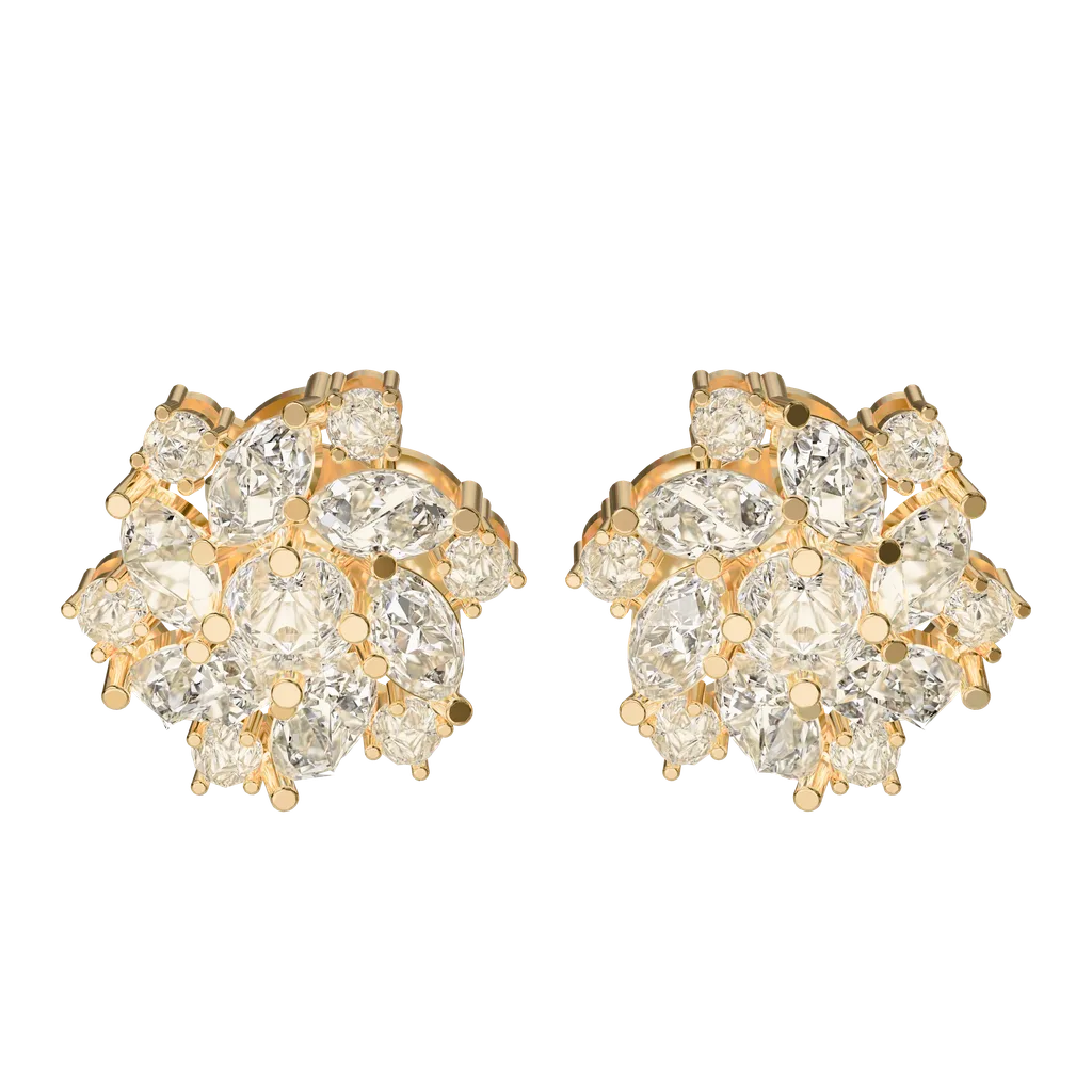 Stud Earrings